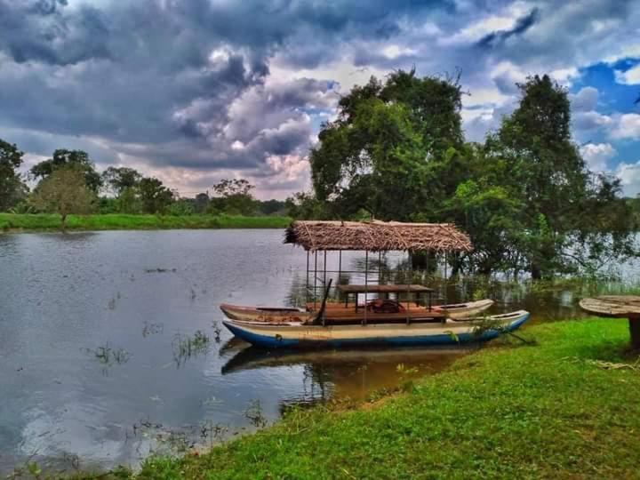 Elephant Safari Lodge Sigiriya Junction ハバラナ エクステリア 写真