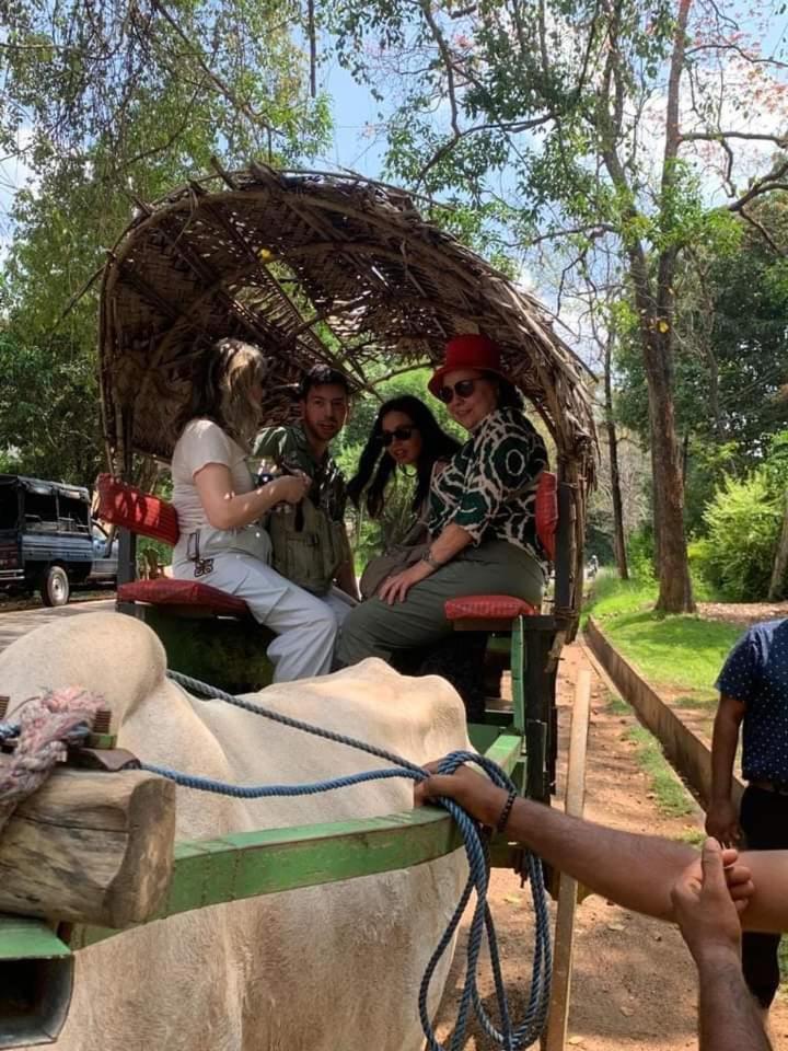 Elephant Safari Lodge Sigiriya Junction ハバラナ エクステリア 写真