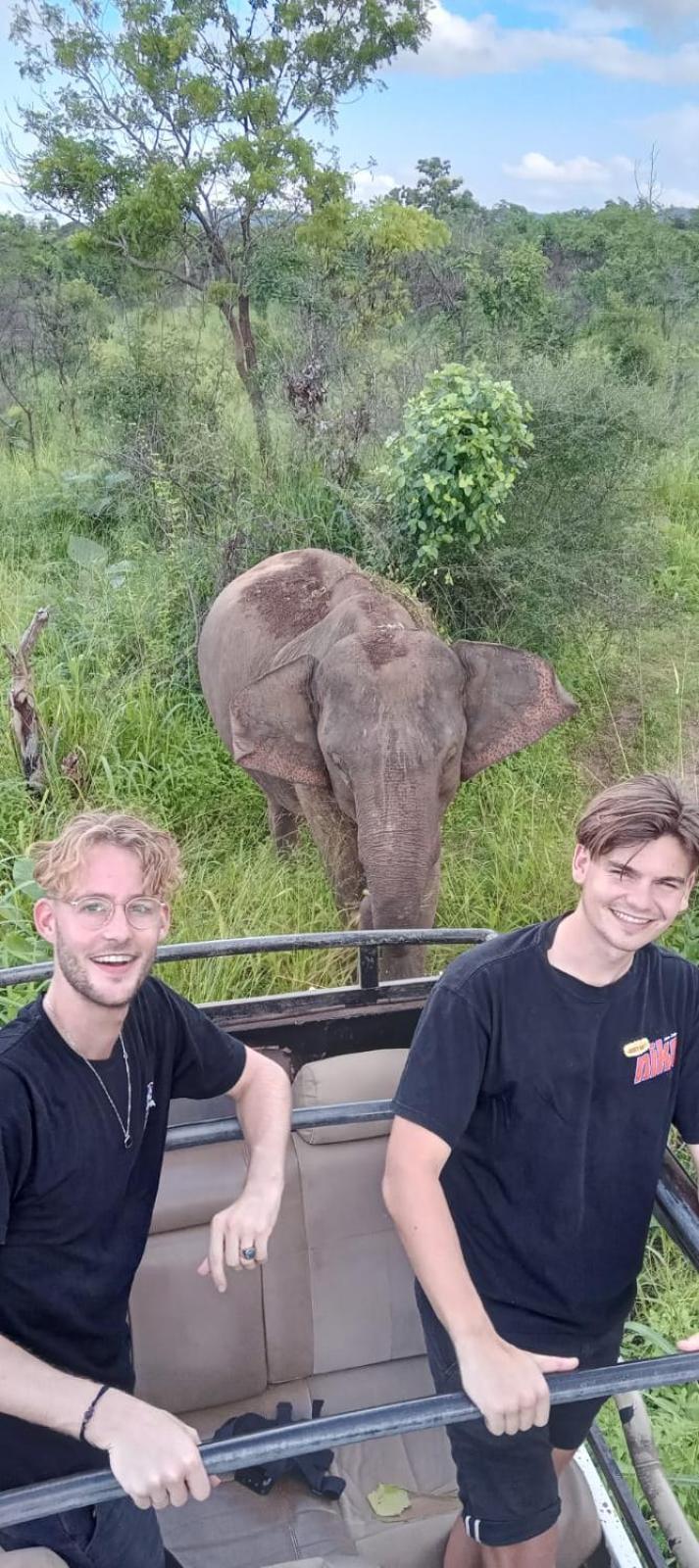 Elephant Safari Lodge Sigiriya Junction ハバラナ エクステリア 写真