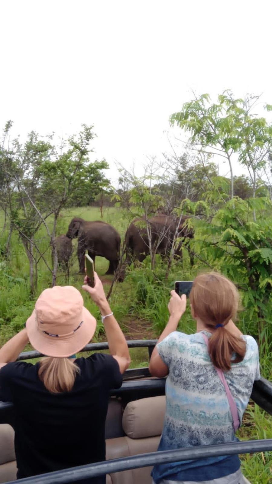 Elephant Safari Lodge Sigiriya Junction ハバラナ エクステリア 写真