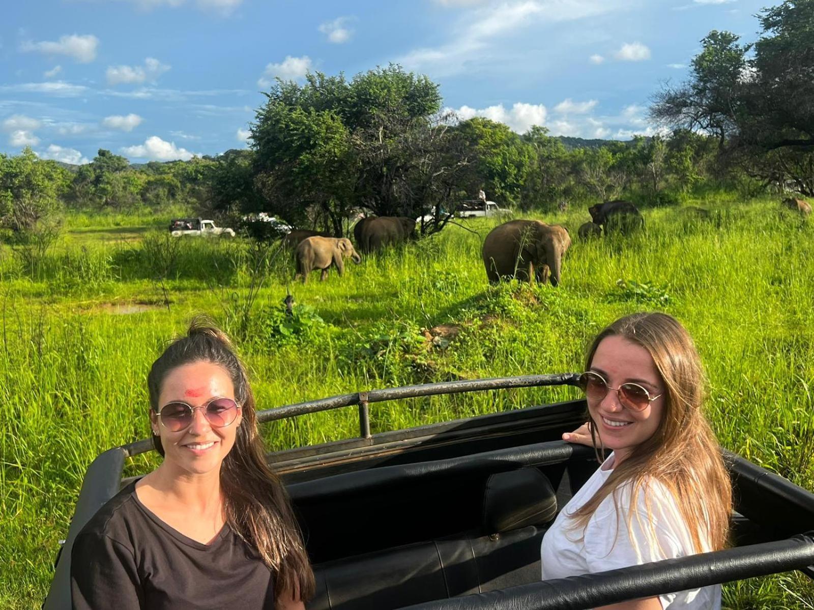 Elephant Safari Lodge Sigiriya Junction ハバラナ エクステリア 写真