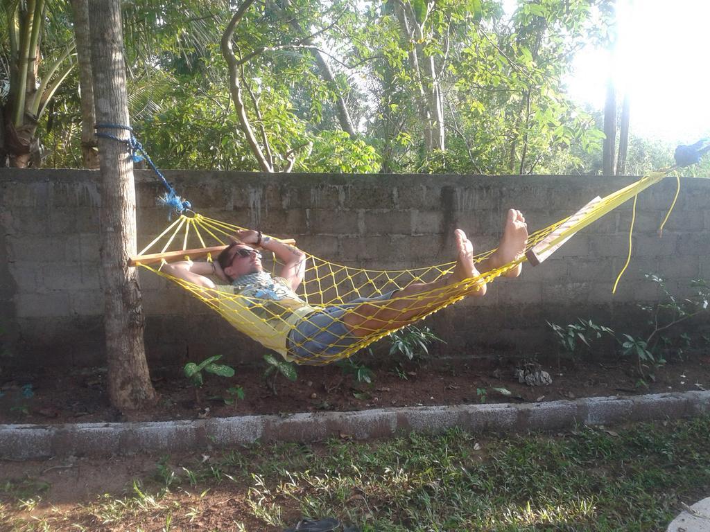 Elephant Safari Lodge Sigiriya Junction ハバラナ エクステリア 写真
