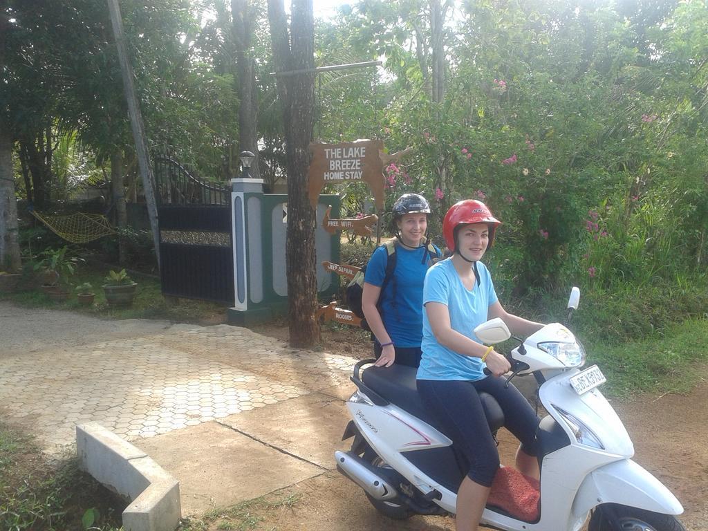 Elephant Safari Lodge Sigiriya Junction ハバラナ エクステリア 写真