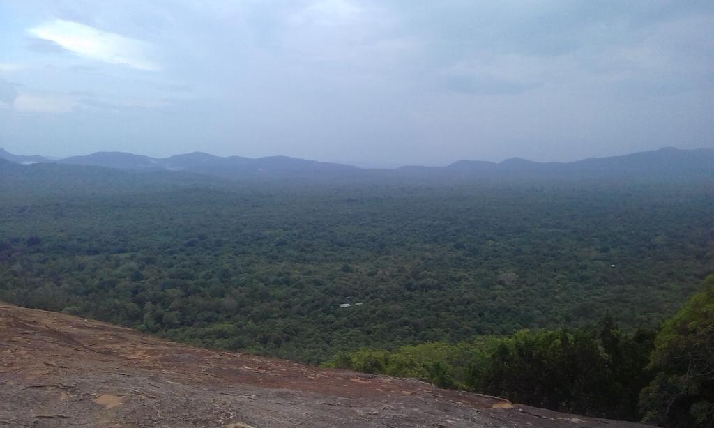 Elephant Safari Lodge Sigiriya Junction ハバラナ エクステリア 写真