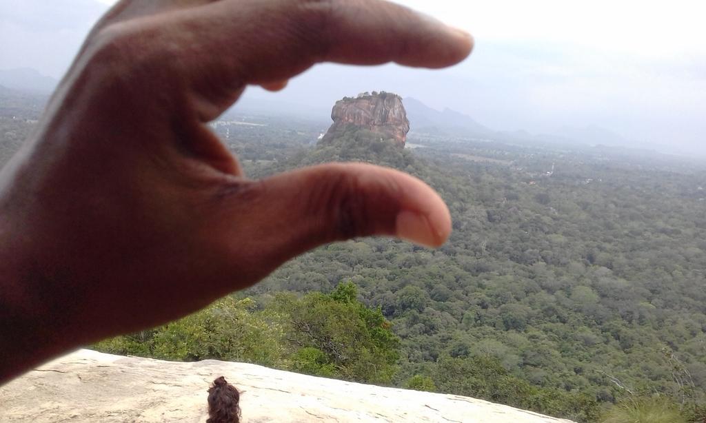 Elephant Safari Lodge Sigiriya Junction ハバラナ エクステリア 写真