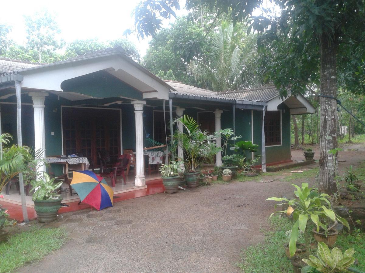 Elephant Safari Lodge Sigiriya Junction ハバラナ エクステリア 写真