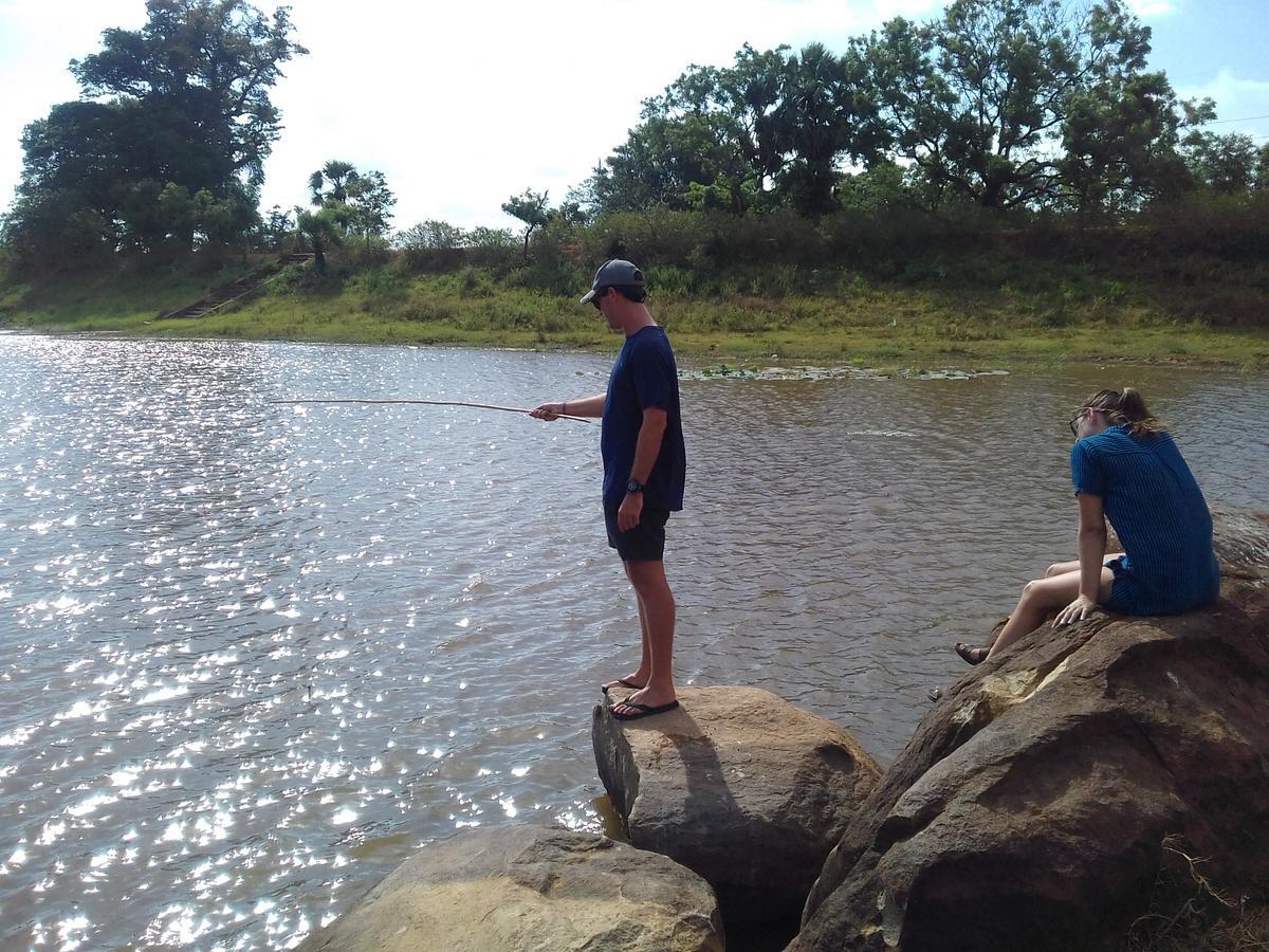 Elephant Safari Lodge Sigiriya Junction ハバラナ エクステリア 写真