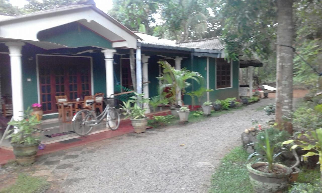 Elephant Safari Lodge Sigiriya Junction ハバラナ エクステリア 写真